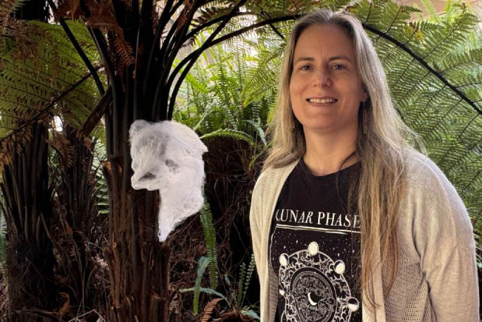 SunLive - Halloween cobwebs are good DNA collectors 