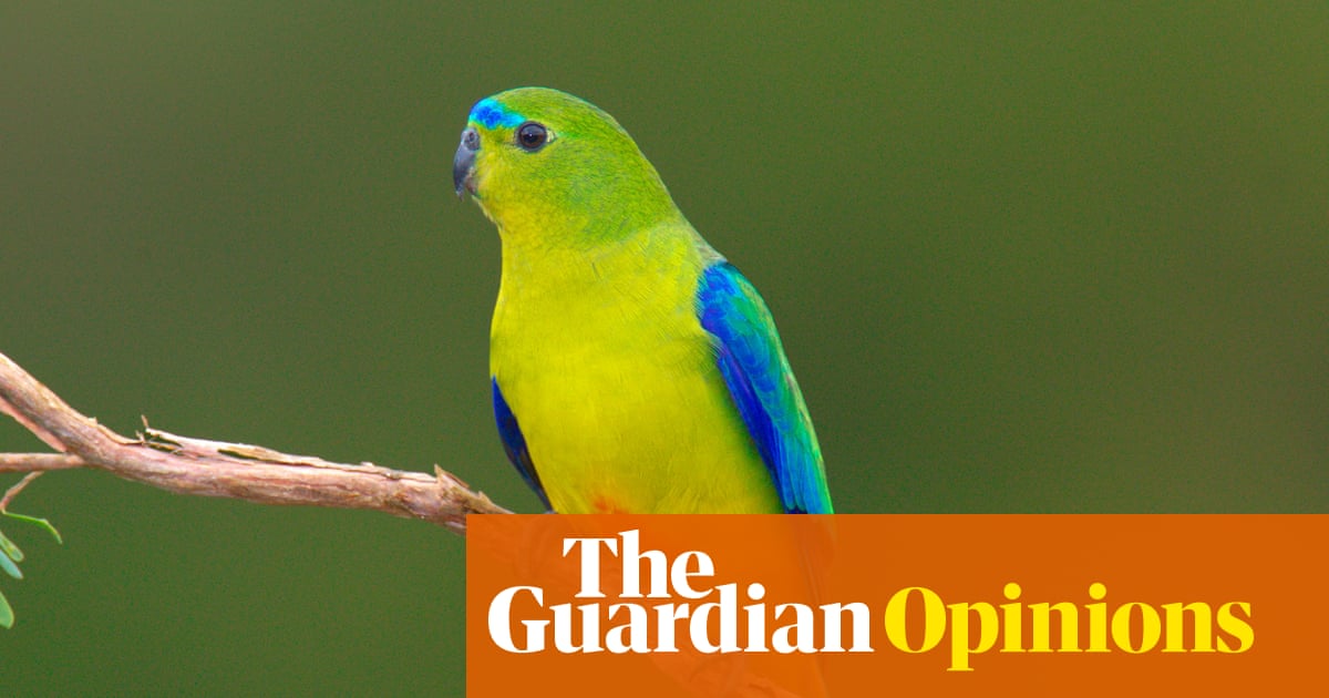 Australia must put politics aside and pass nature laws that benefit the economy and the environment. We owe it to our kids | Zoe Daniel