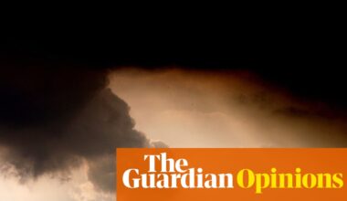 To defeat the global Goliaths devastating our planet, we must raise an army of Davids | Peter Lewis