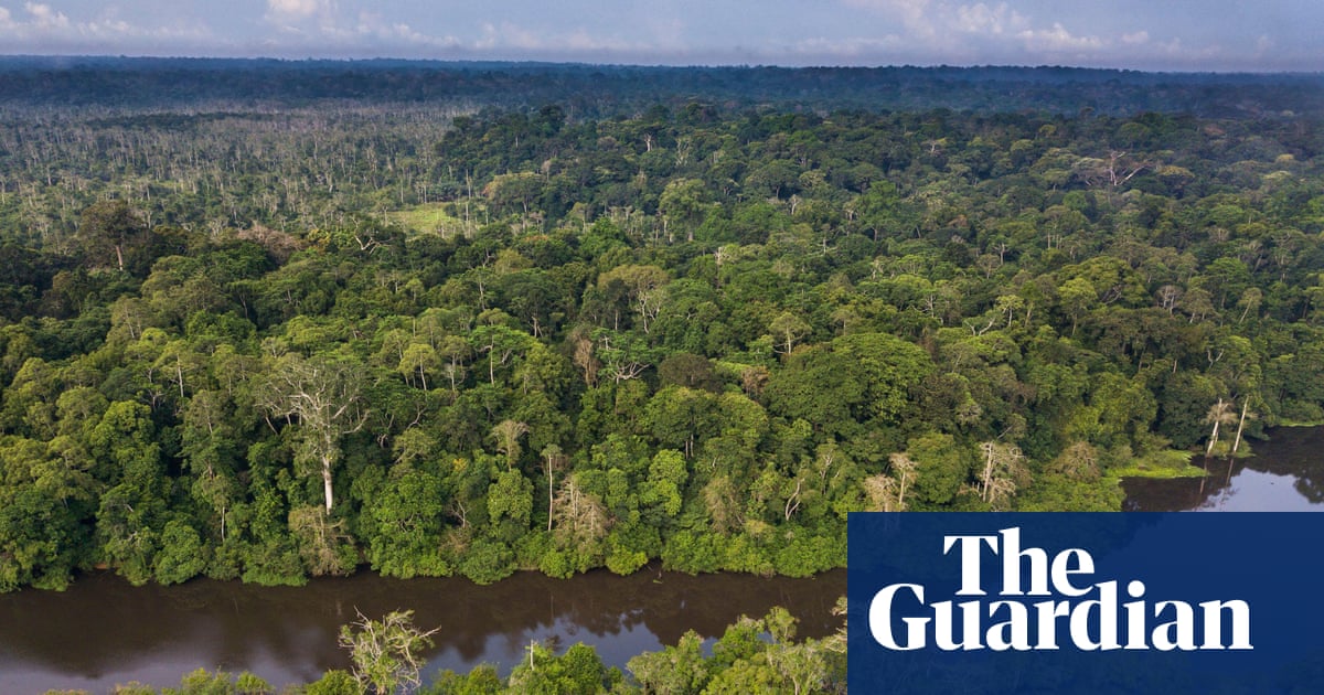 The rainforest the world forgot: the Congo basin is the second largest on Earth, so why is it being neglected? | Global development