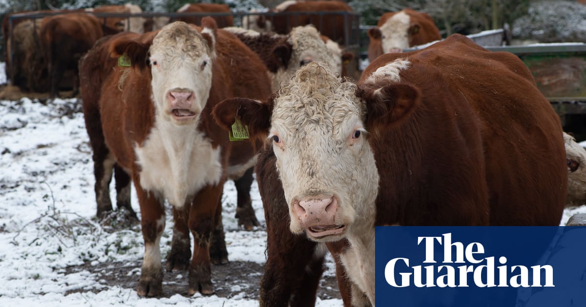 Why the plan for a ‘forest city’ is not as green as it sounds | Green building