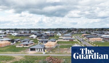 Biodiversity offsets failed to protect habitat in NSW. Now federal Labor is about to make the same mistakes, critics warn | Endangered habitats