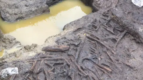 Somerset Drainage Board Brown pool of water, which sits next to a muddy bank, where a wooden structure is exposed.