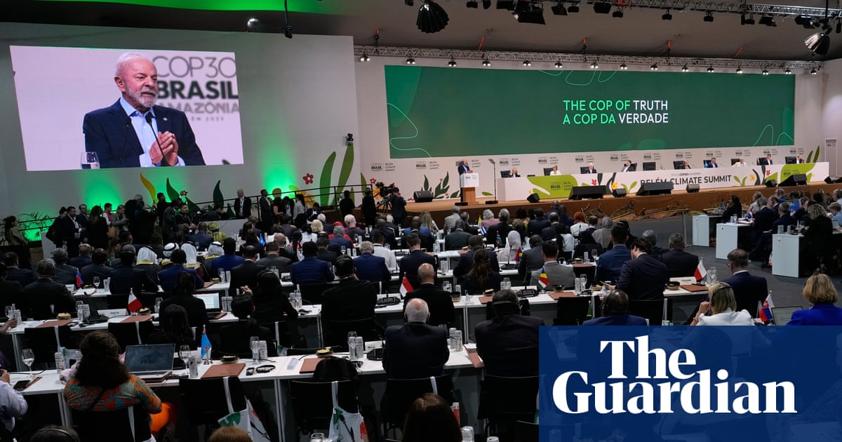 Who are the major players at Cop30 and what do they want? | Cop30