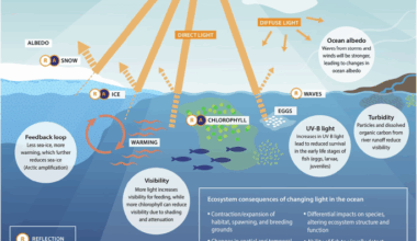 Climate change impacts on ocean light in Arctic ecosystems