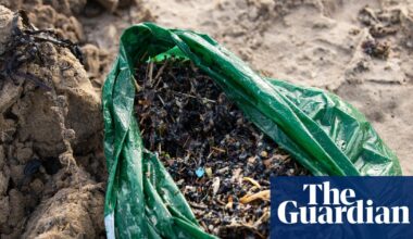 Southern Water apologises for catastrophic spill of plastic biobeads in Sussex | Water