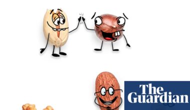 The nut secret: 14 easy, delicious ways to eat more of these life-changing superfoods | Food