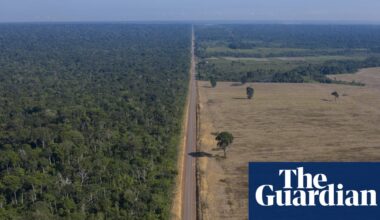 How could Tropical Forest Forever fund proposed at Cop30 tackle deforestation? | Cop30