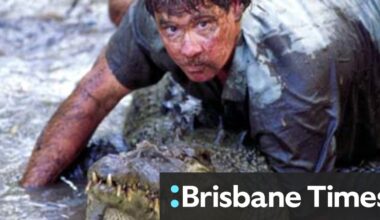Steve Irwin released this 4m croc decades ago. Now it’s back at Australia Zoo, and people aren’t happy
