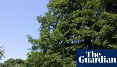 We need to restore Britain’s connection to nature | Biodiversity
