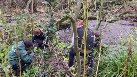 BBC/Brihony Williams Group of volunteers are crouched down in the mud looking for snails. One red-haired man has his back to the camera wearing a black gilet, with two women and another person crouched in the background between branches