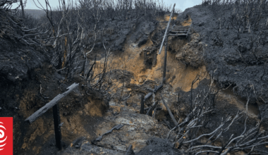 'Controlled burn' near Tongariro ruled out as wildfire cause