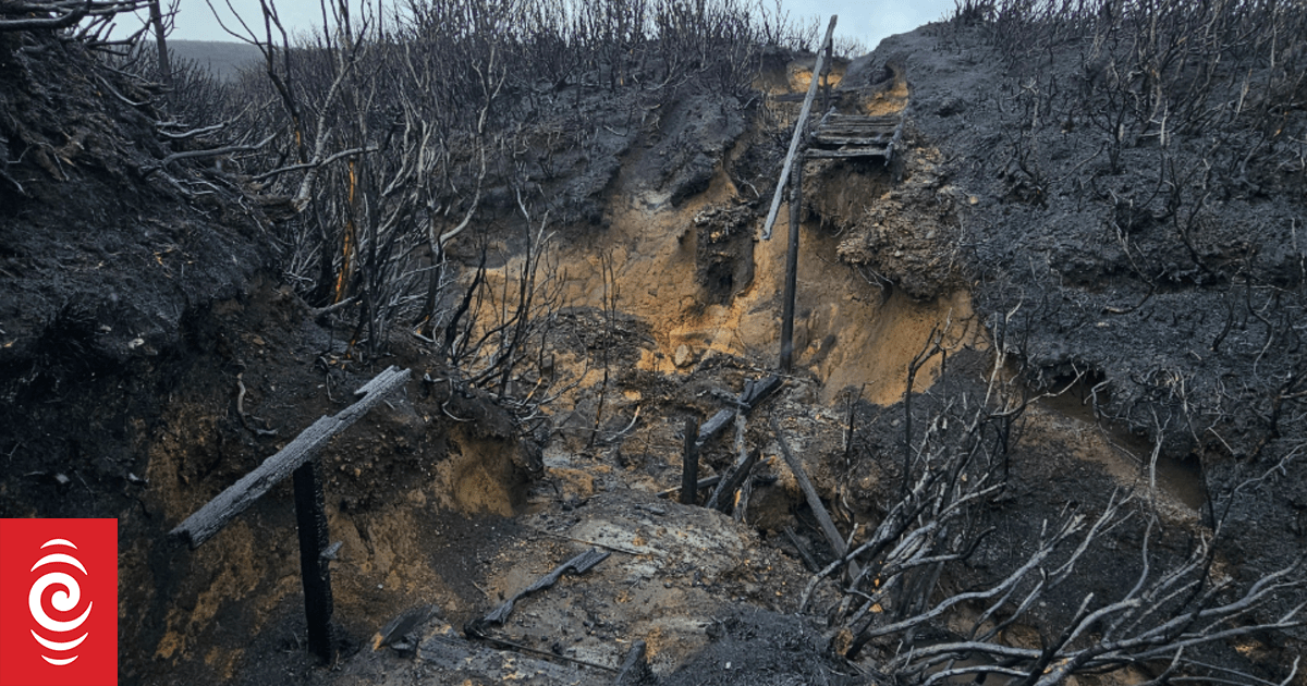 'Controlled burn' near Tongariro ruled out as wildfire cause