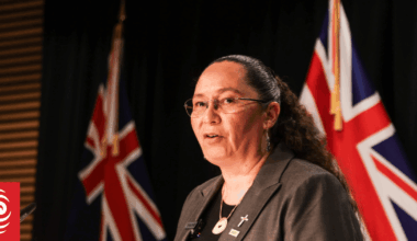 Details of gun law reforms unveiled as Cabinet signs off