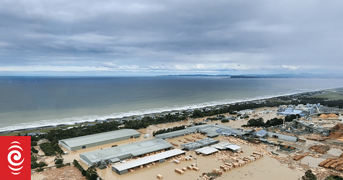 State Highway 2 to be raised 1.8 metres as flood project gets under way