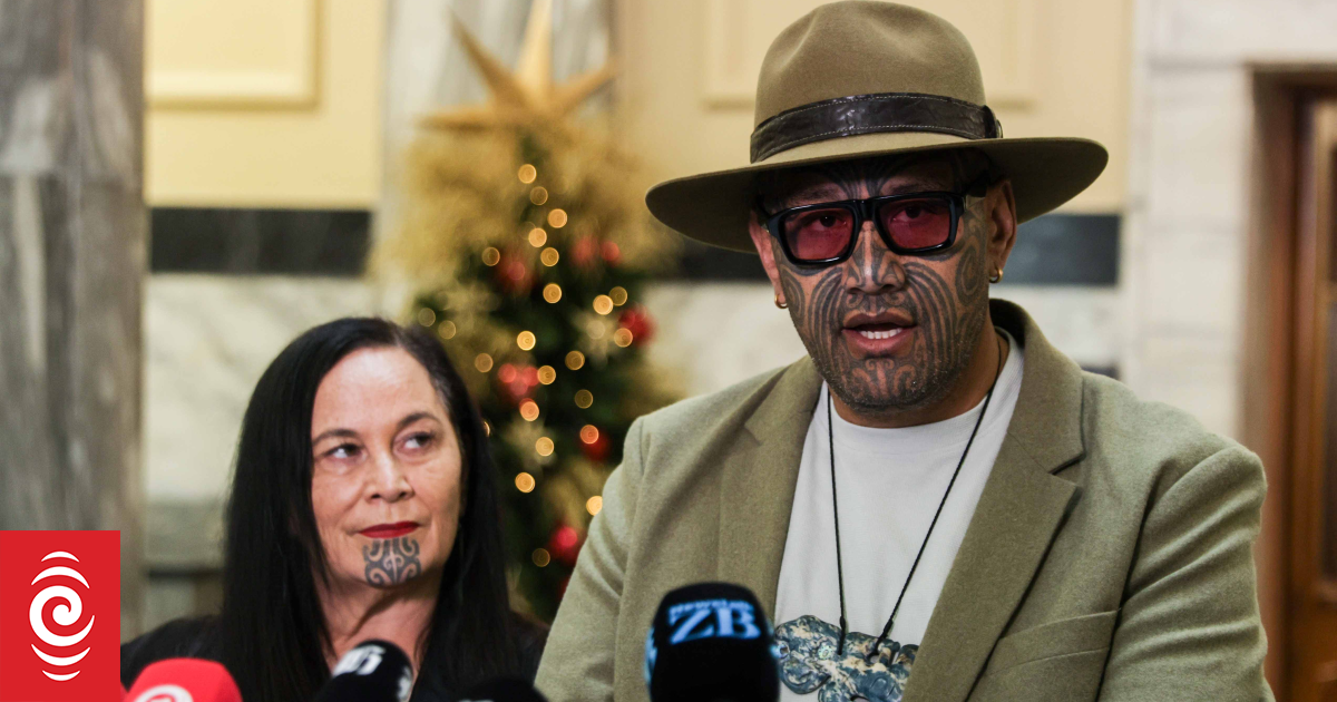 Te Pāti Māori purge fails to end the party war