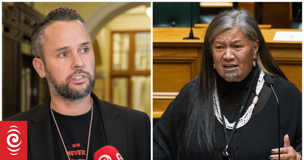 Expelled MPs Mariameno Kapa-Kingi and Tākuta Ferris cast first votes as independents