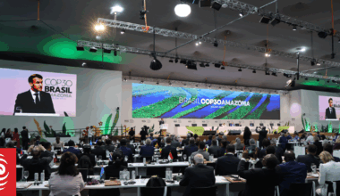 COP30: NZ must commit to buying offshore credits to meet Paris target, climate experts say