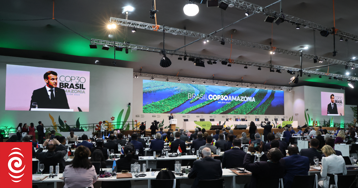 COP30: NZ must commit to buying offshore credits to meet Paris target, climate experts say