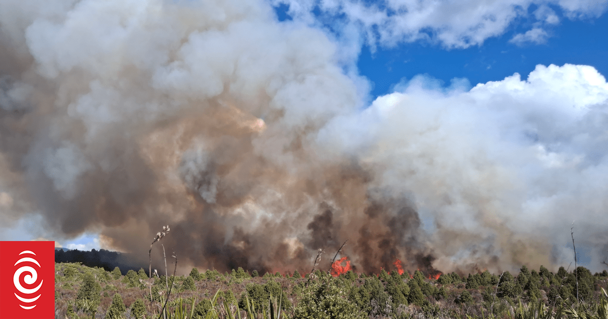 Large fire in Tongariro Forest Park, call to avoid area