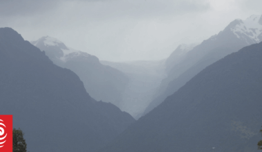 Wild deer plunder pasture, plants and profits in Westland