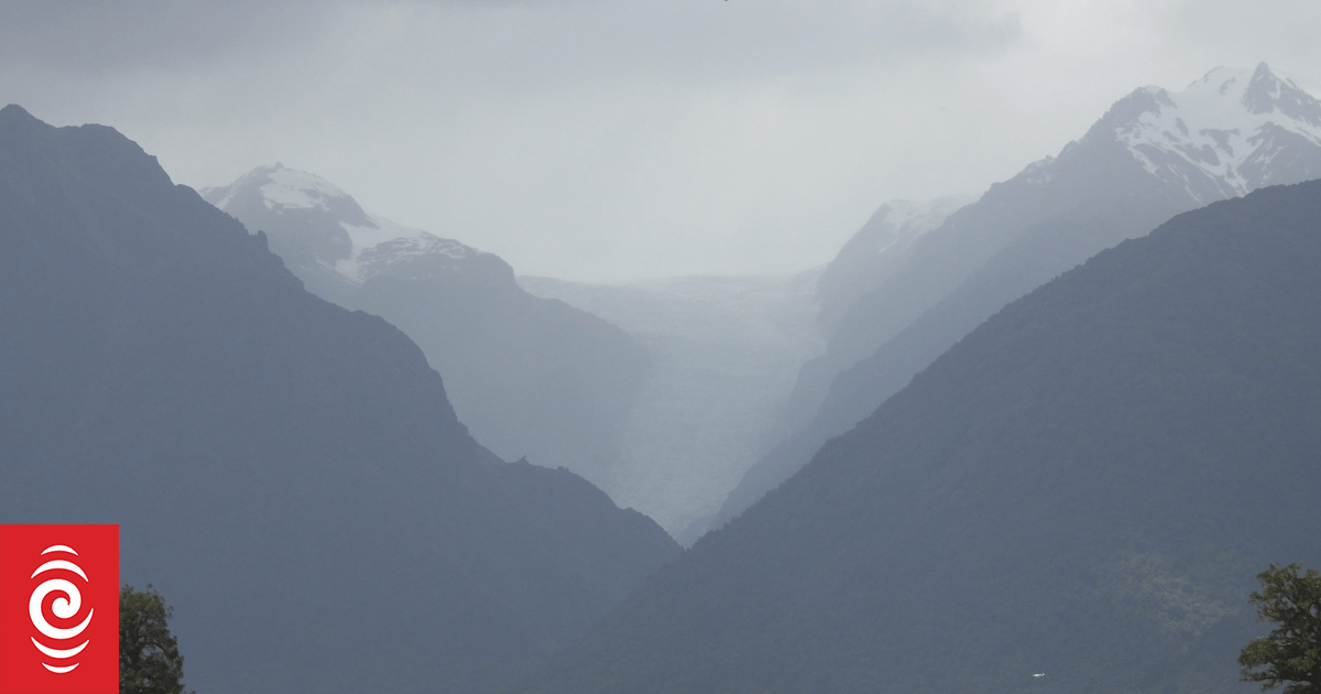 Wild deer plunder pasture, plants and profits in Westland