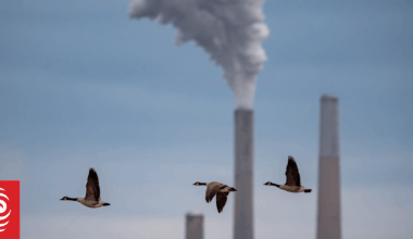 World on track to dangerous warming as emissions hit record high - UN