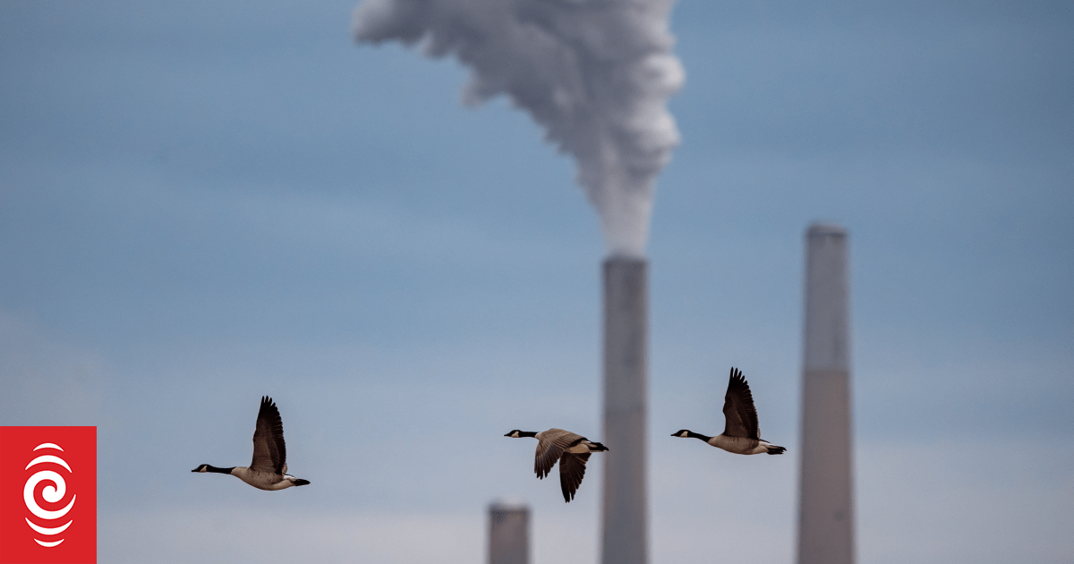 World on track to dangerous warming as emissions hit record high - UN