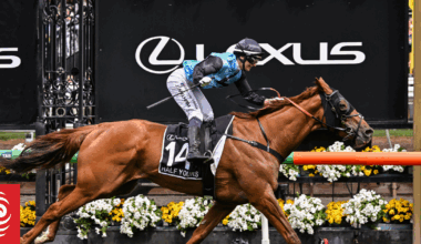 Half Yours wins 2025 Melbourne Cup