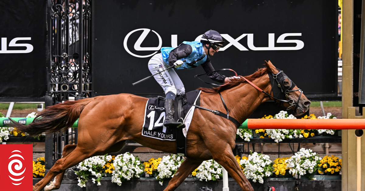 Half Yours wins 2025 Melbourne Cup