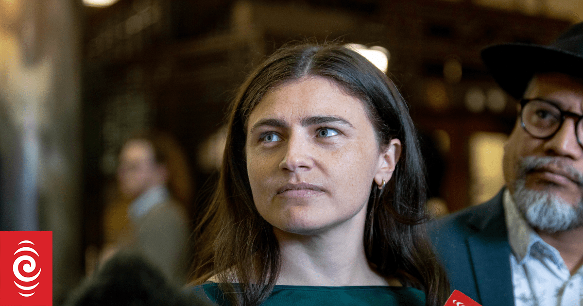 'Calm down' - Auckland Central MP Chlöe Swarbrick on coalition's homeless plan