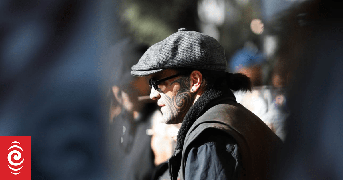 Former Te Pāti Māori staffer Eru Kapa-Kingi doubles down on leadership shortcomings