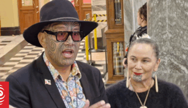 Iwi leaders want hui next week for Te Pāti Māori factions