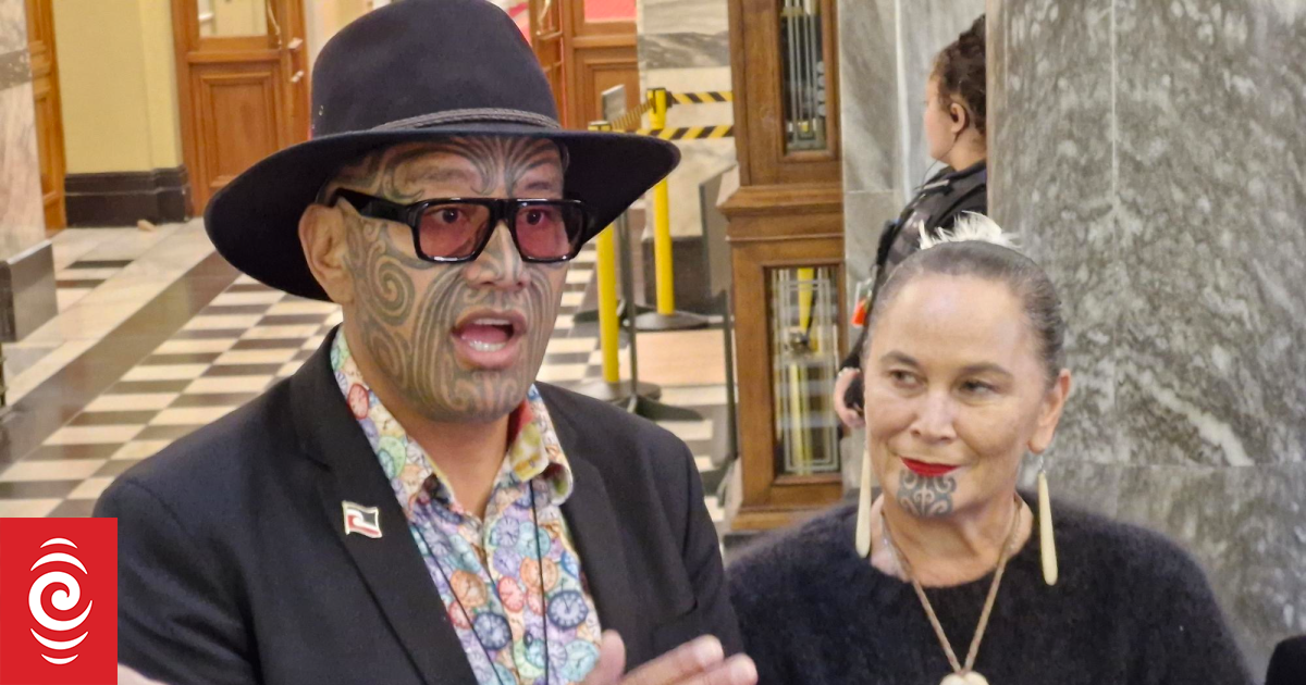 Iwi leaders want hui next week for Te Pāti Māori factions