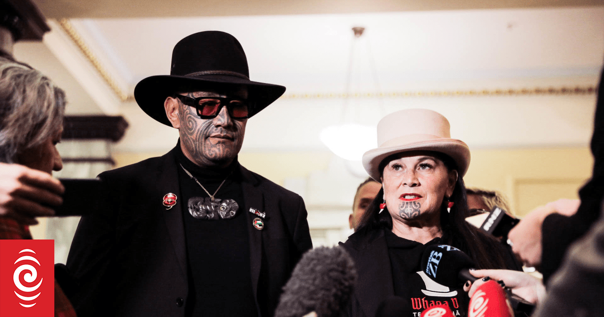 One of two Te Pāti Māori factions willing to meet - iwi leaders