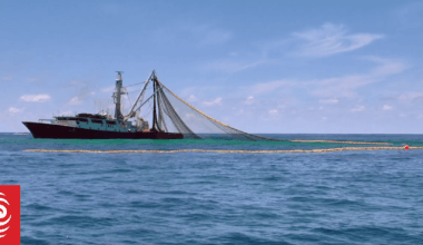 Why commercial fishing is still being allowed in 'protected' Hauraki Gulf zones