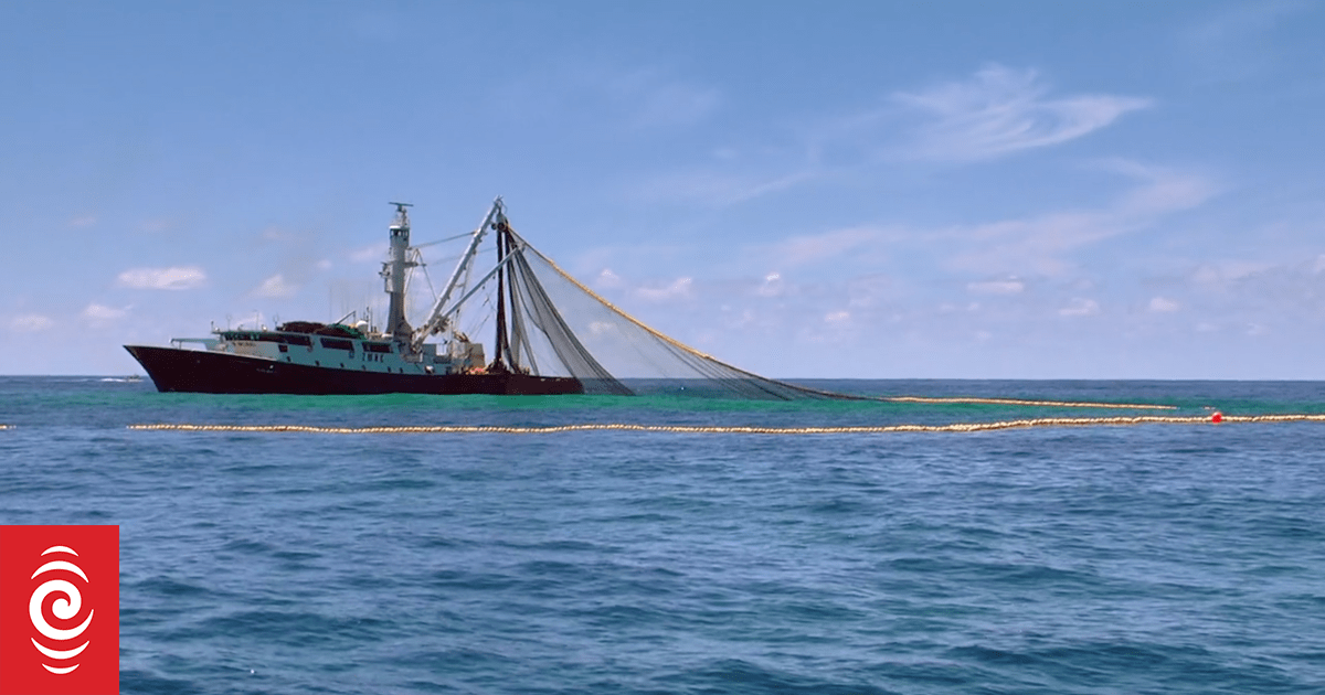 Why commercial fishing is still being allowed in 'protected' Hauraki Gulf zones