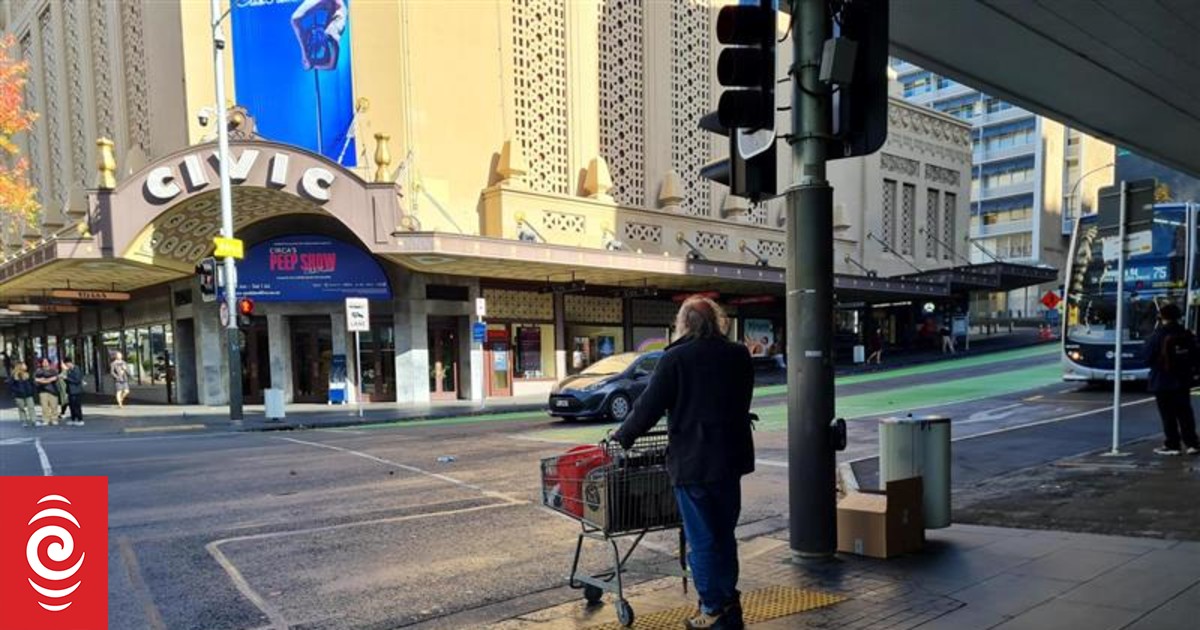 Rough sleeping ban in central Auckland considered by government