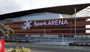 Cirque du Soleil performer stretchered off stage after fall