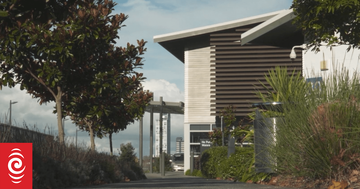 Mental health worker strangled, but NZ Health denies staffing to blame