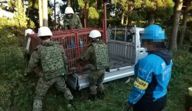 Facing a spike in deadly bear attacks, Japan turns to the military and drones that bark