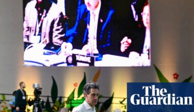 Cop30’s watered-down agreements will do little for an ecosystem at tipping point | Cop30