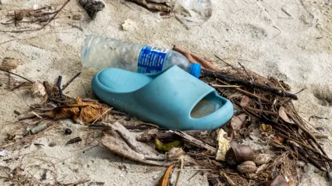 Getty Images A light blue slip-on sandal and a plastic water bottle lying on sand. There's also organic debris made up of leaves, seaweed and twigs. 