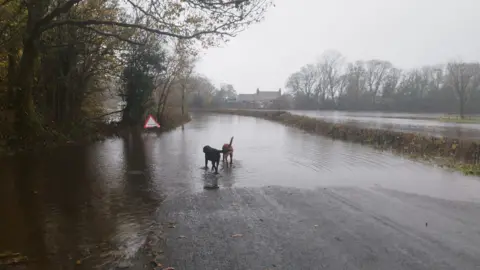 Duddon River Association The River Duddon's banks have burst in the flooding which has hit Cumbria. There is a flooding warning road sign on the left of the road, with two dogs walking in the flood water. The River Duddon to the right is swollen to above the top of the bank.