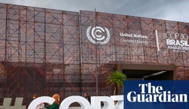 Cop30: what are the main issues and why do they matter? | Cop30