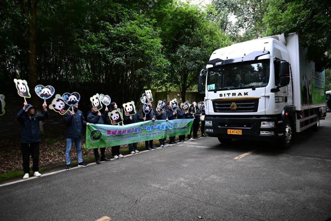 China sends new pair of giant pandas to Malaysia