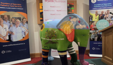 Watch: Milford Care Centre receives Elephant in the Room to promote mental health awareness