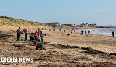 Plastic pellets washed up on Camber beach