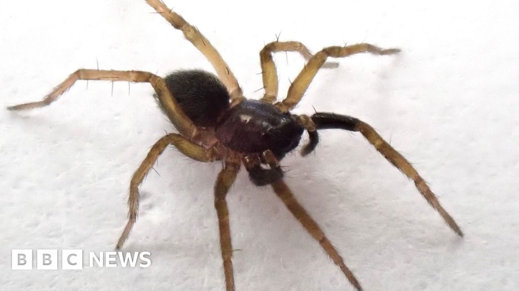 Five stories from the South you may have missed