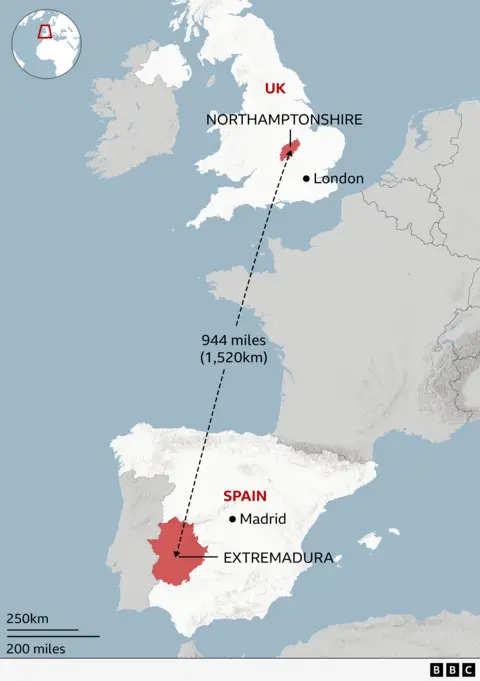 Map shows the chicks were collected from Northamptonshire in England and relocated to the Extremadura region in south west Spain